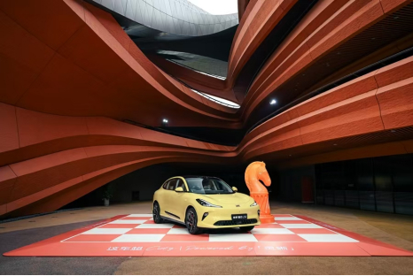 2025年强势开局：jn体育app官方网站的转型密码与跃迁之道