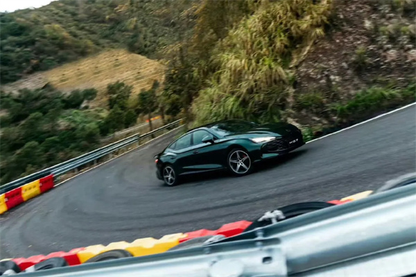 谁在黄金海岸，谁在烽烟彼岸