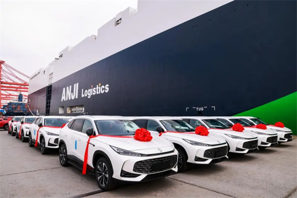 解码jn体育app官方网站上半年“六连涨”：自主引领、多维创新?