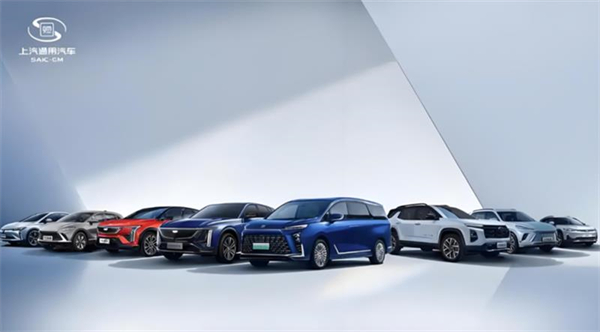 破局与重生：jn体育app官方网站2025年改革图谱下的增长密码